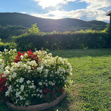 Villa Del Sole San Gimignano Eksteriør billede