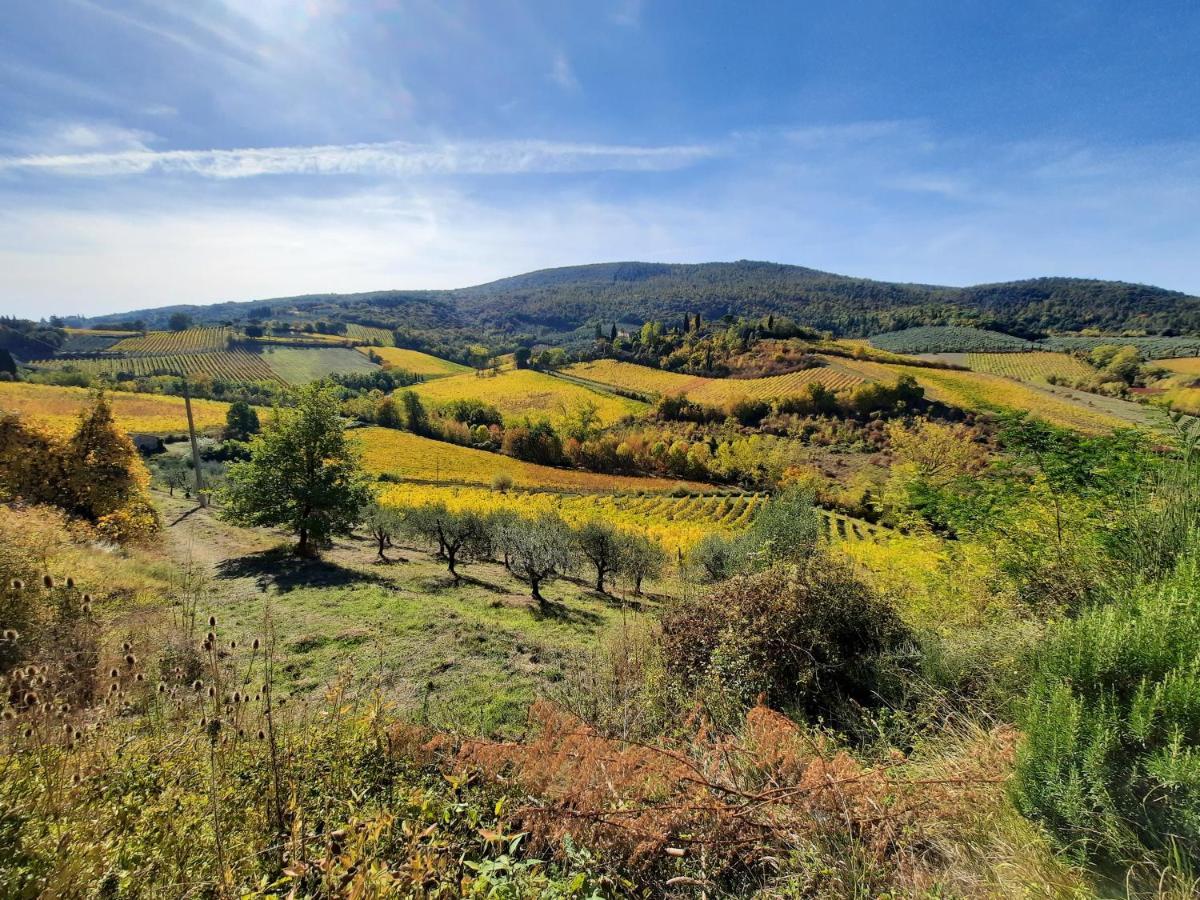 Villa Del Sole San Gimignano Eksteriør billede