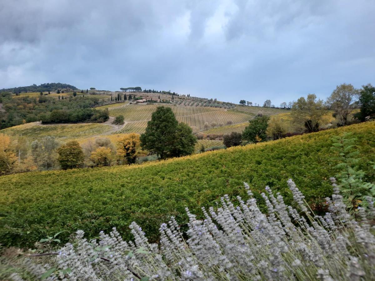 Villa Del Sole San Gimignano Eksteriør billede