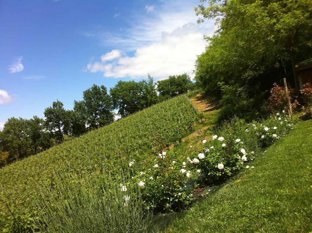 Villa Del Sole San Gimignano Eksteriør billede