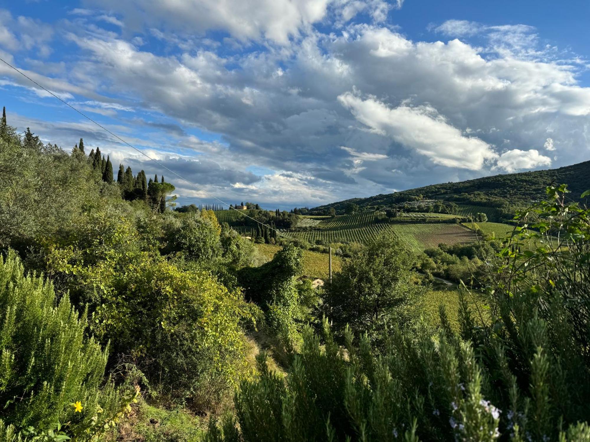 Villa Del Sole San Gimignano Eksteriør billede